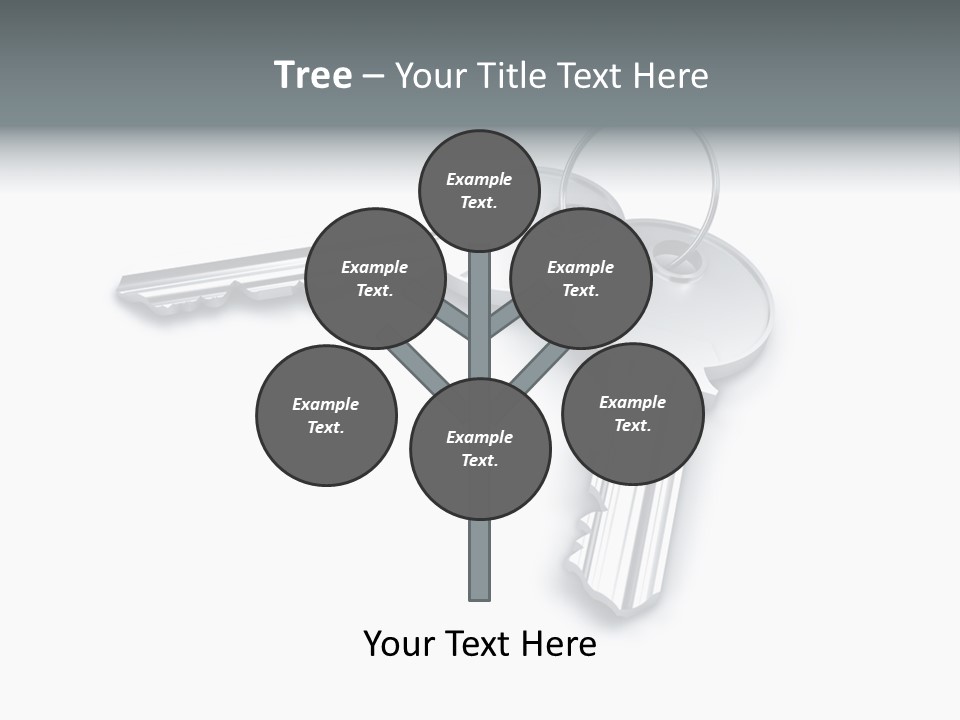 Open Sunflower Blossoms On A Field In The Sun PowerPoint Template