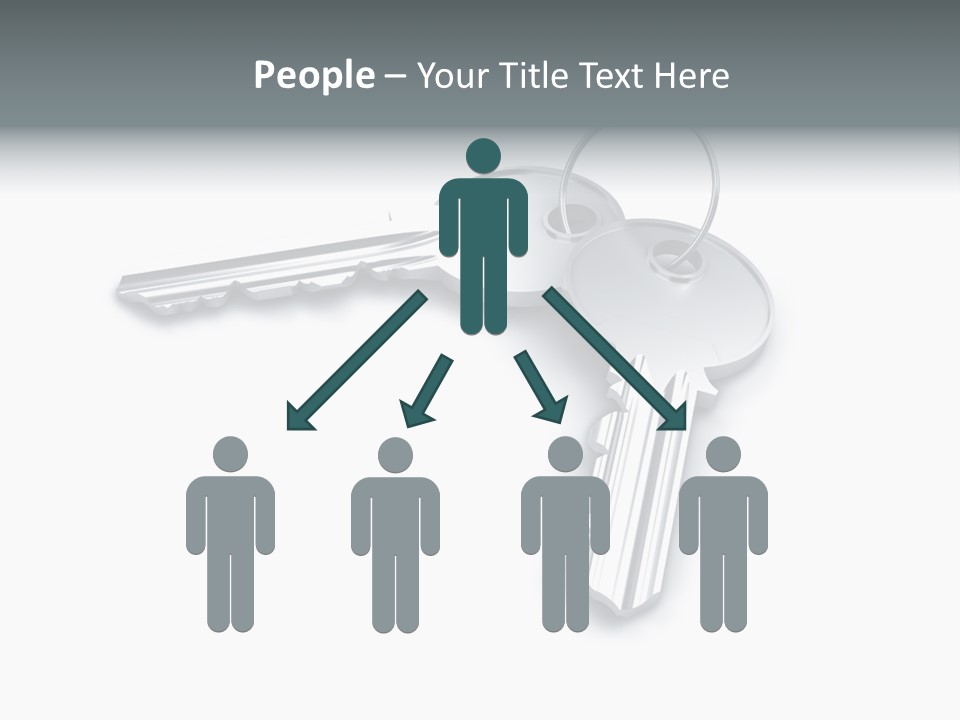 Open Sunflower Blossoms On A Field In The Sun PowerPoint Template