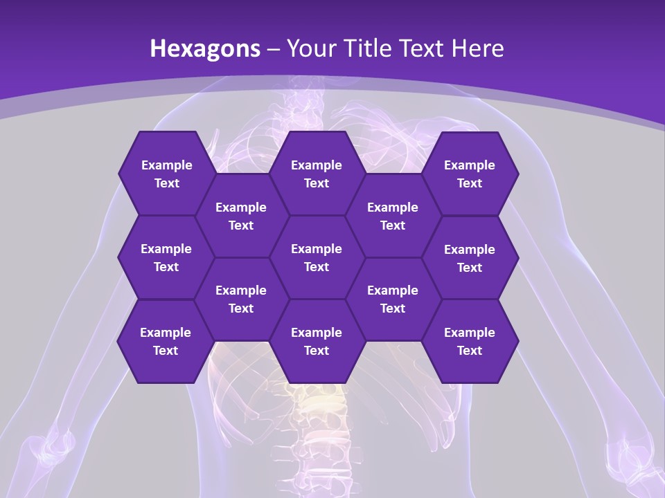 Backache PowerPoint Template