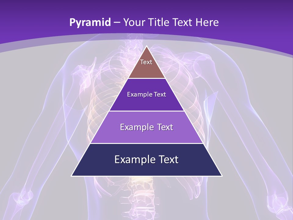 Backache PowerPoint Template
