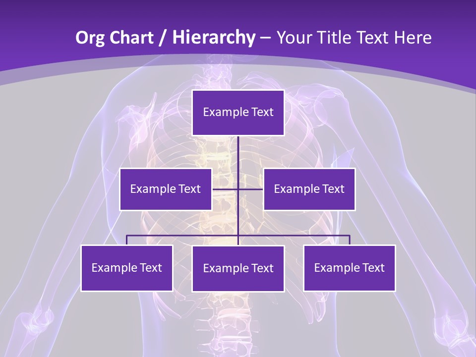 Backache PowerPoint Template