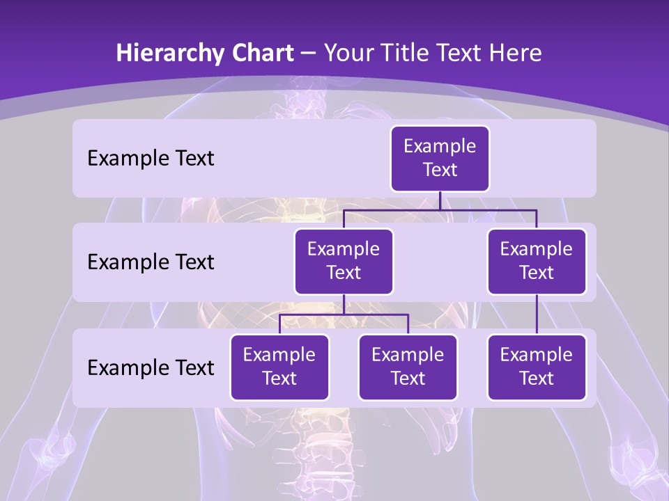 Backache PowerPoint Template