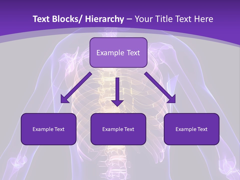 Backache PowerPoint Template