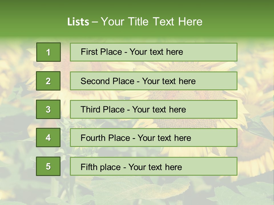 Open Sunflower Blossoms On A Field In The Sun PowerPoint Template