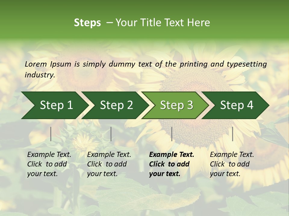 Open Sunflower Blossoms On A Field In The Sun PowerPoint Template