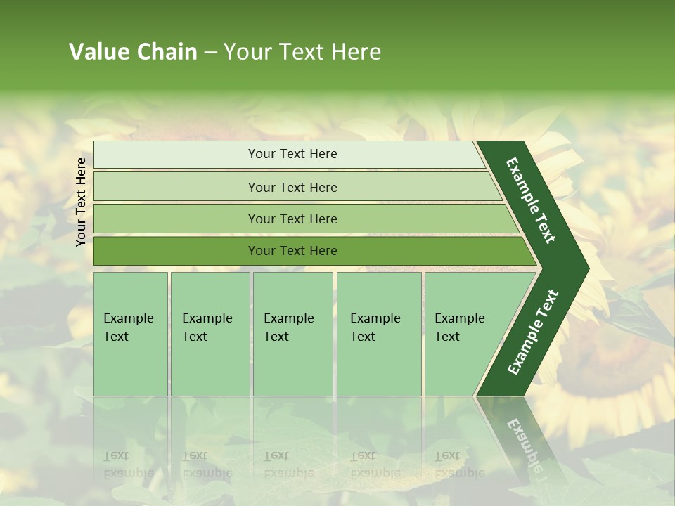 Open Sunflower Blossoms On A Field In The Sun PowerPoint Template