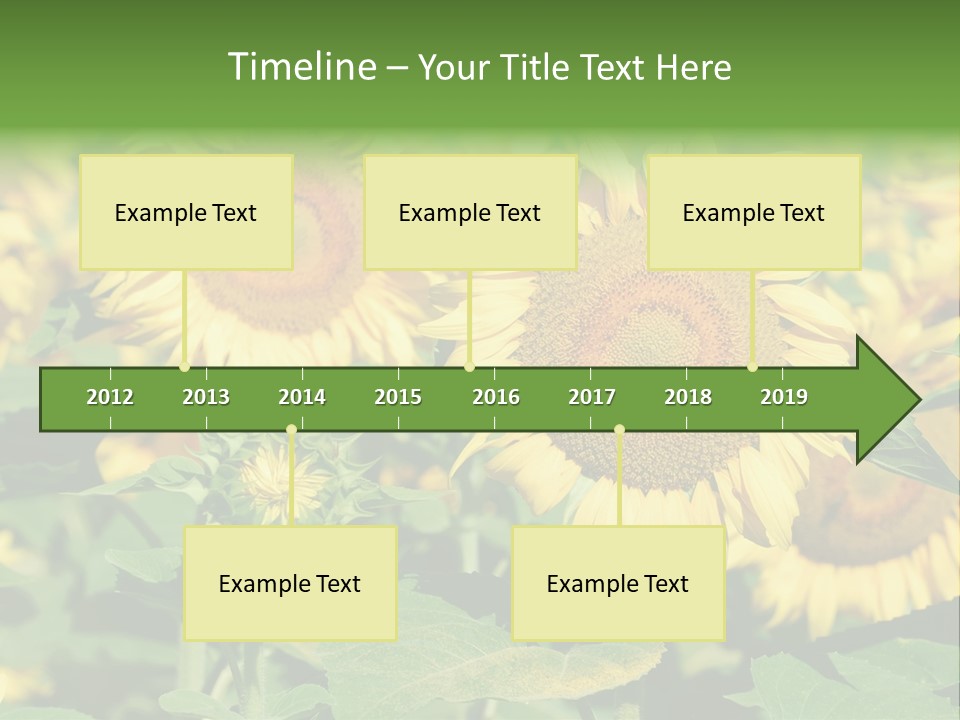 Open Sunflower Blossoms On A Field In The Sun PowerPoint Template