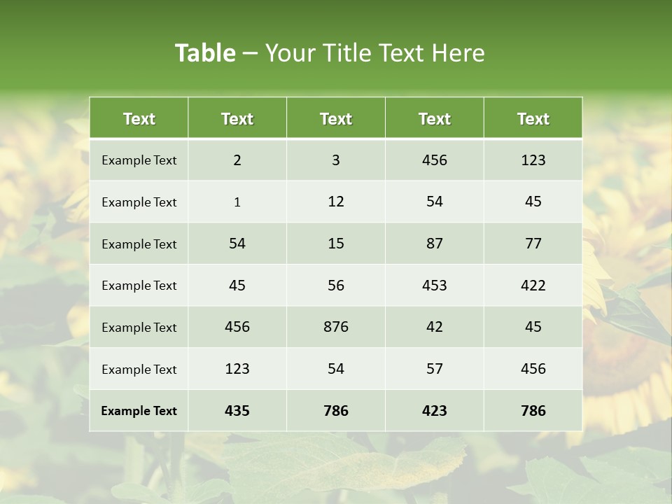 Open Sunflower Blossoms On A Field In The Sun PowerPoint Template