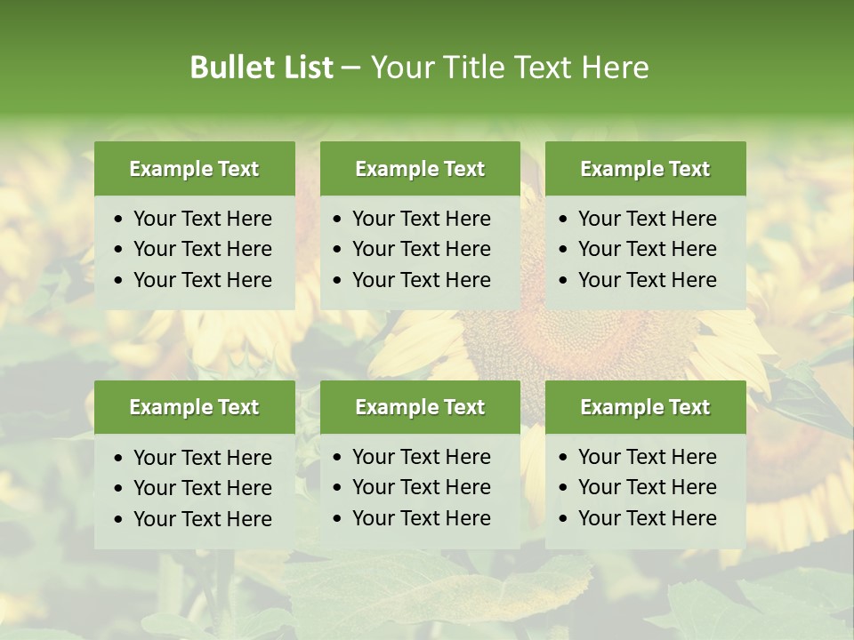 Open Sunflower Blossoms On A Field In The Sun PowerPoint Template