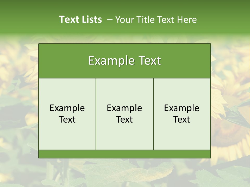 Open Sunflower Blossoms On A Field In The Sun PowerPoint Template