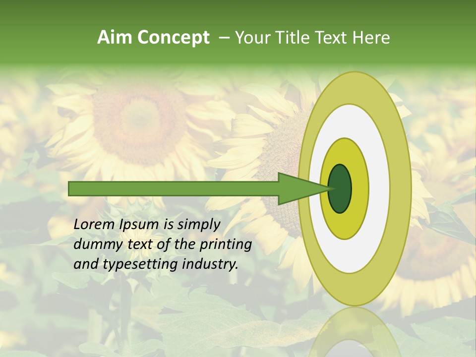 Open Sunflower Blossoms On A Field In The Sun PowerPoint Template