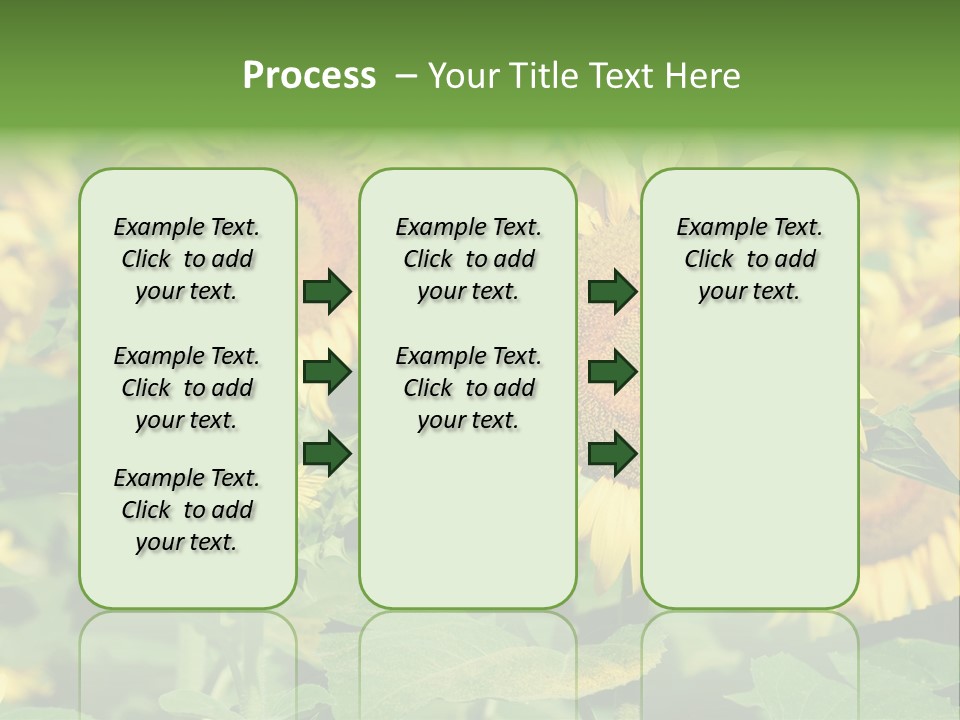 Open Sunflower Blossoms On A Field In The Sun PowerPoint Template