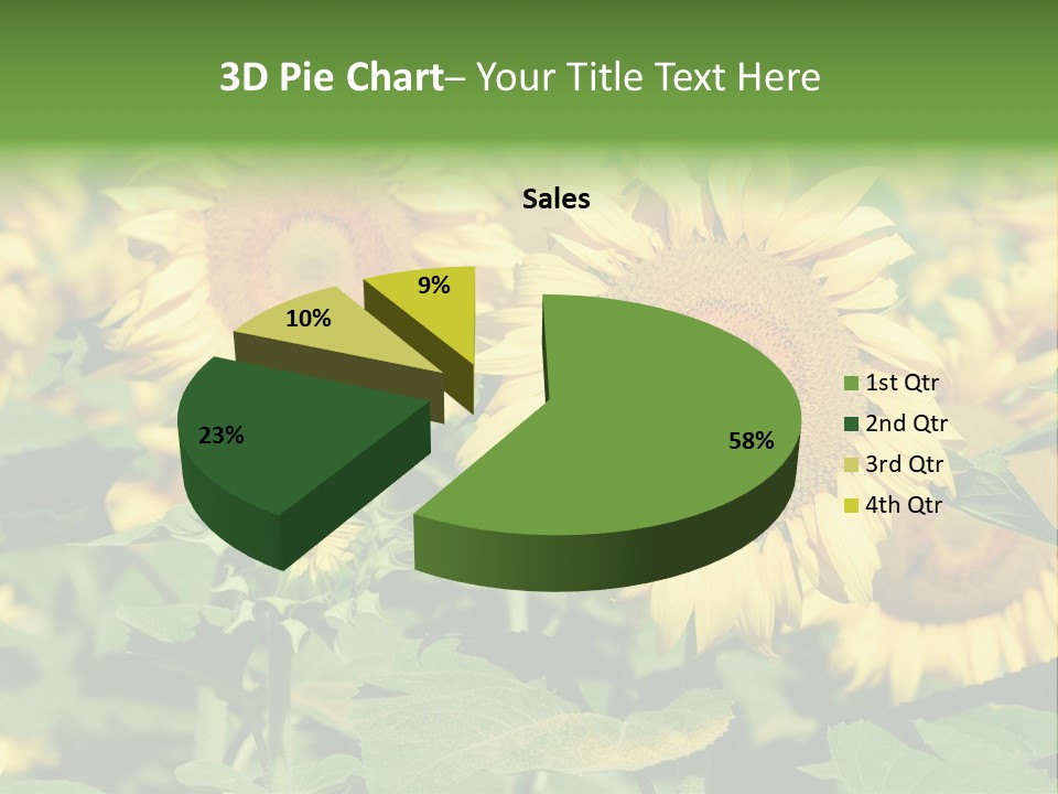 Open Sunflower Blossoms On A Field In The Sun PowerPoint Template