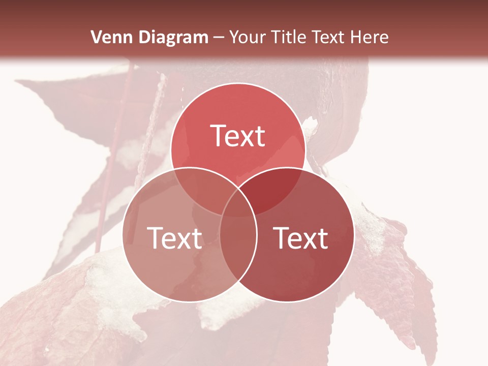 Frozen Leaves PowerPoint Template