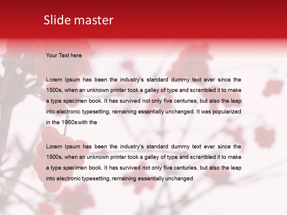 Close-Up Of Red Viburnum Berries Covered With Snow PowerPoint Template