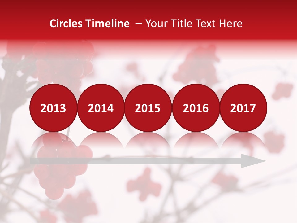 Close-Up Of Red Viburnum Berries Covered With Snow PowerPoint Template