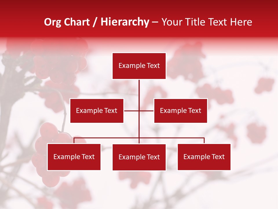 Close-Up Of Red Viburnum Berries Covered With Snow PowerPoint Template