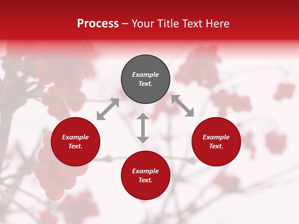 Close-Up Of Red Viburnum Berries Covered With Snow PowerPoint Template