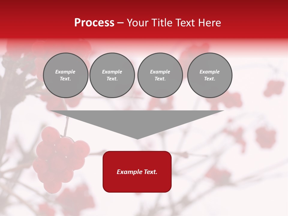 Close-Up Of Red Viburnum Berries Covered With Snow PowerPoint Template