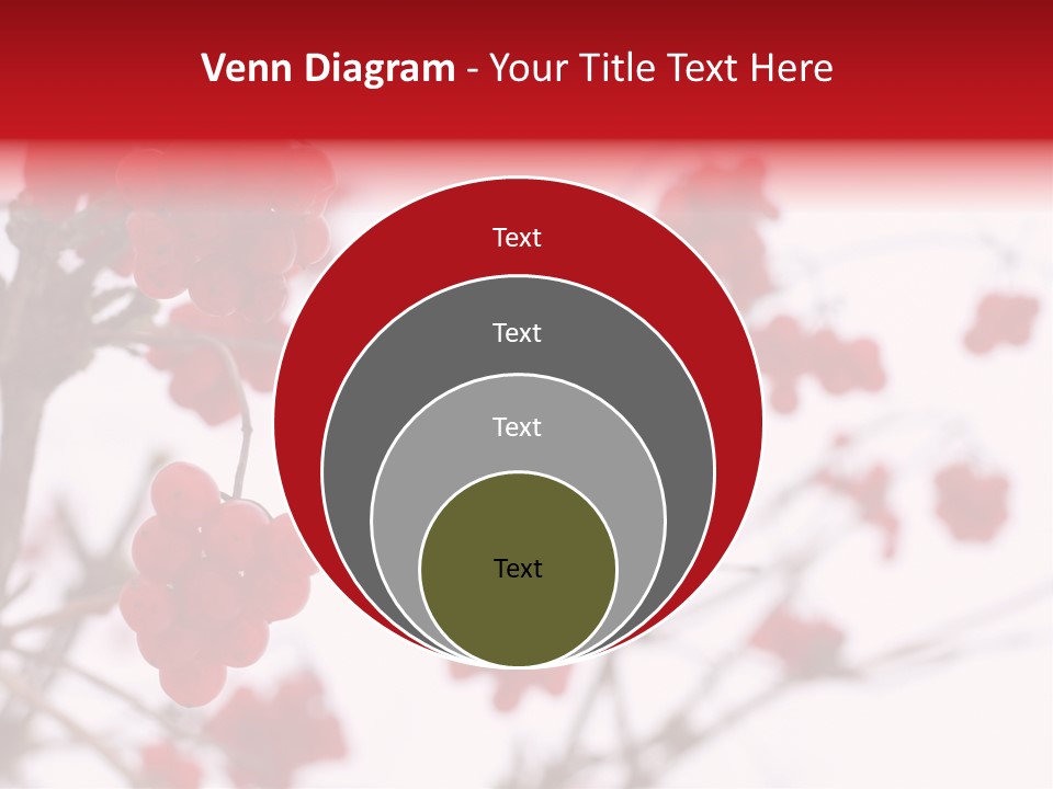 Close-Up Of Red Viburnum Berries Covered With Snow PowerPoint Template