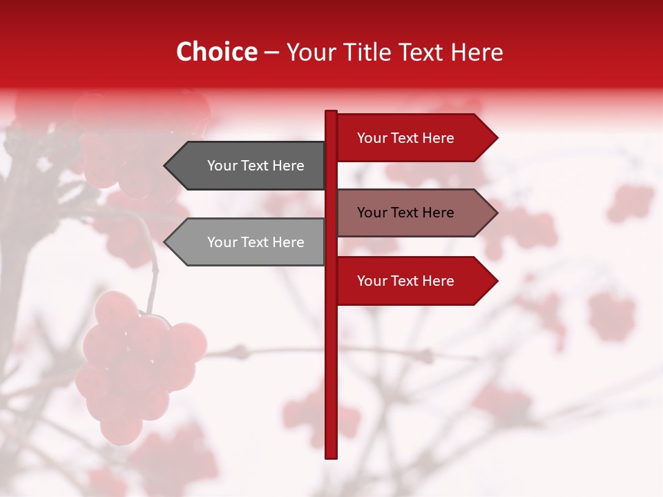 Close-Up Of Red Viburnum Berries Covered With Snow PowerPoint Template