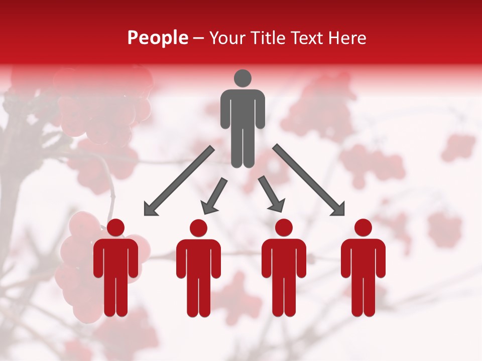 Close-Up Of Red Viburnum Berries Covered With Snow PowerPoint Template