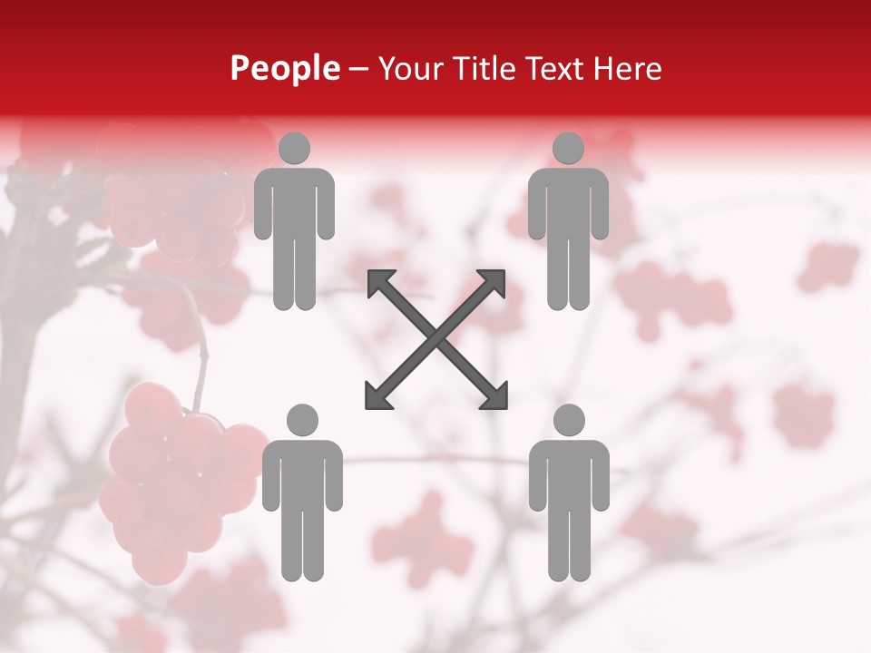 Close-Up Of Red Viburnum Berries Covered With Snow PowerPoint Template