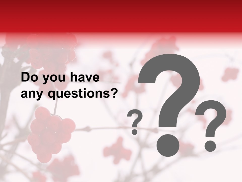 Close-Up Of Red Viburnum Berries Covered With Snow PowerPoint Template