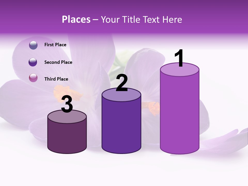A Group Of Purple Flowers Sitting On Top Of A White Table PowerPoint Template