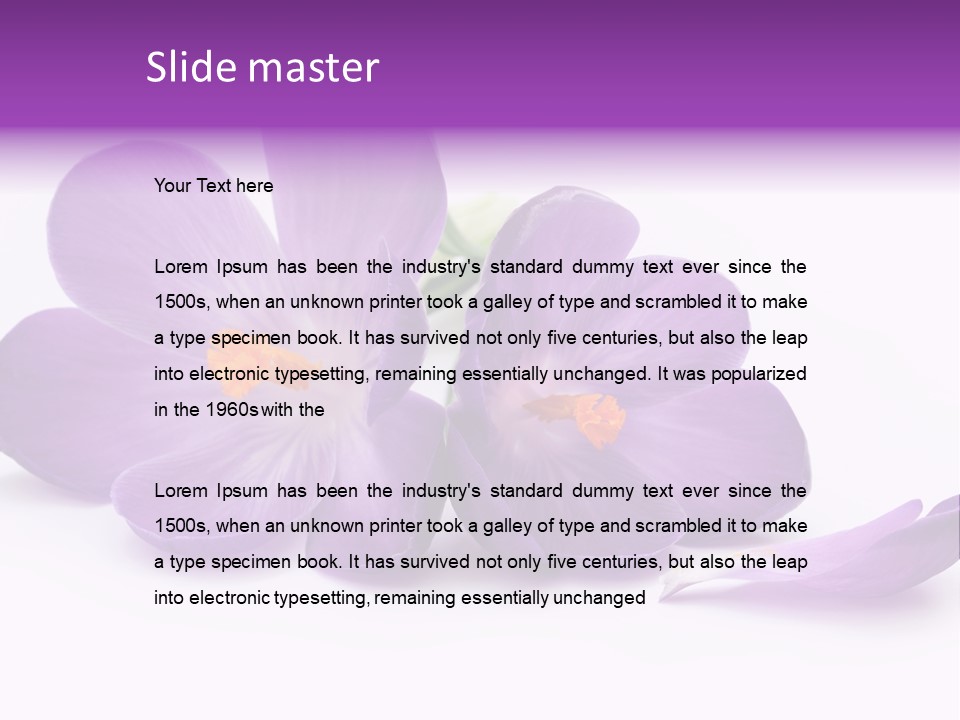 A Group Of Purple Flowers Sitting On Top Of A White Table PowerPoint Template