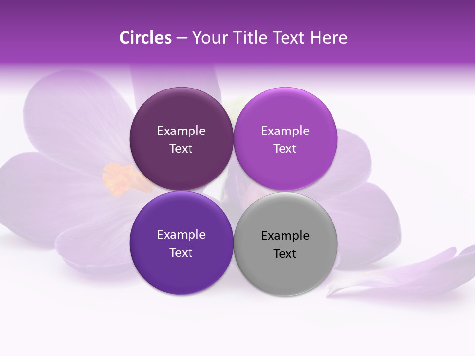 A Group Of Purple Flowers Sitting On Top Of A White Table PowerPoint Template