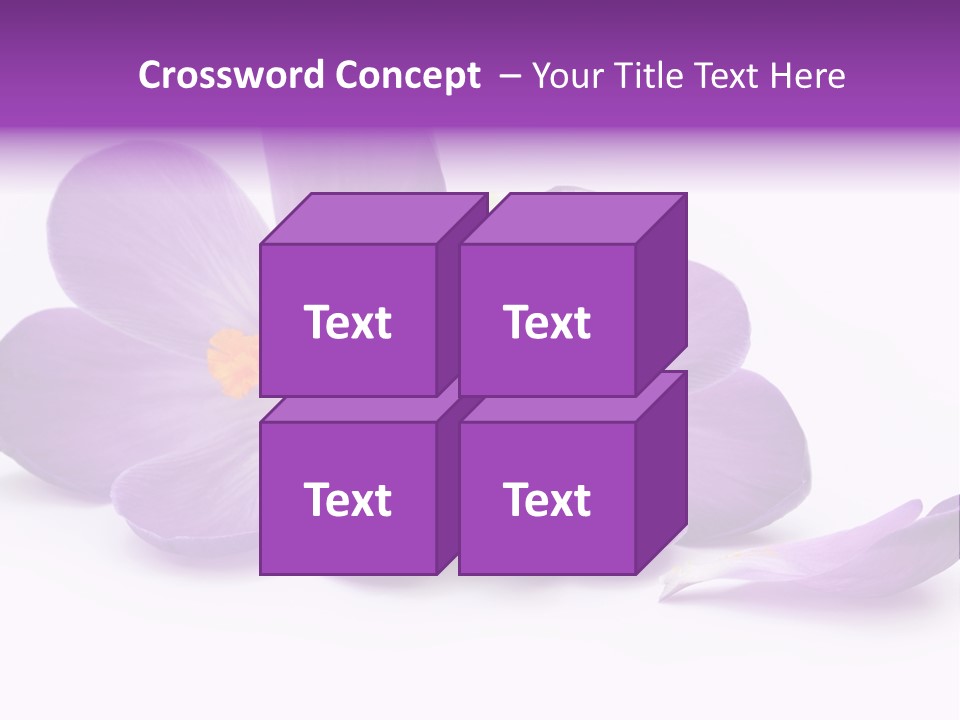 A Group Of Purple Flowers Sitting On Top Of A White Table PowerPoint Template