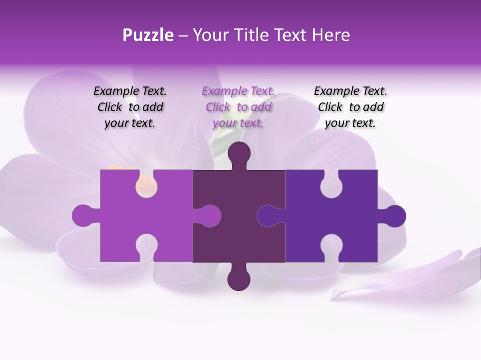 A Group Of Purple Flowers Sitting On Top Of A White Table PowerPoint Template