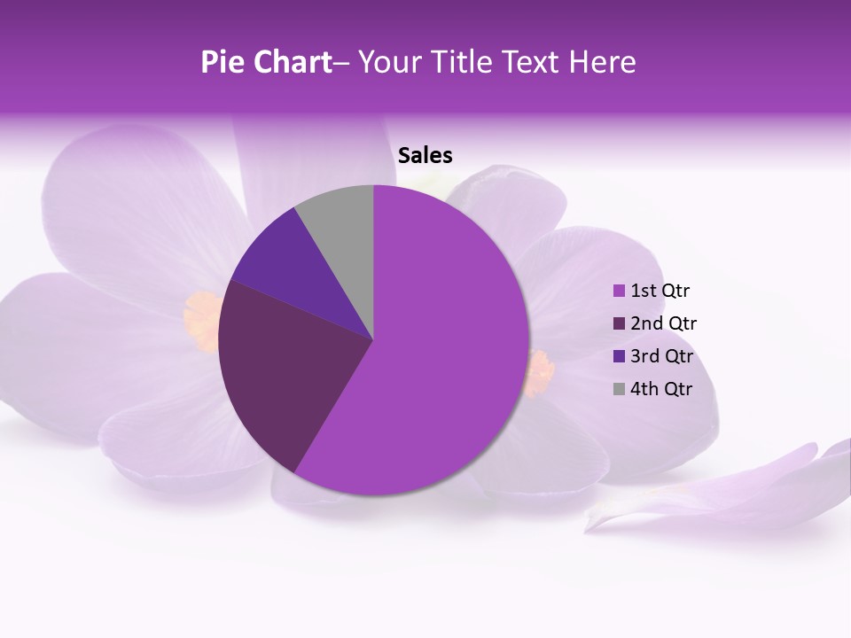 A Group Of Purple Flowers Sitting On Top Of A White Table PowerPoint Template