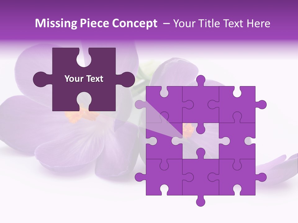 A Group Of Purple Flowers Sitting On Top Of A White Table PowerPoint Template