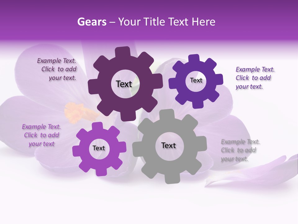 A Group Of Purple Flowers Sitting On Top Of A White Table PowerPoint Template