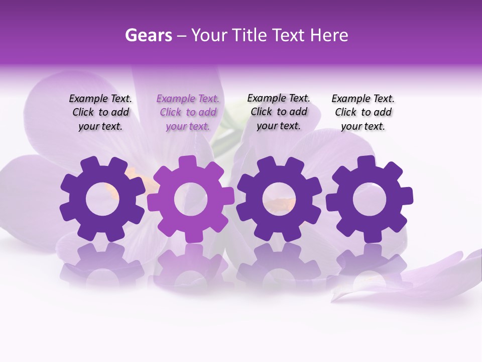 A Group Of Purple Flowers Sitting On Top Of A White Table PowerPoint Template