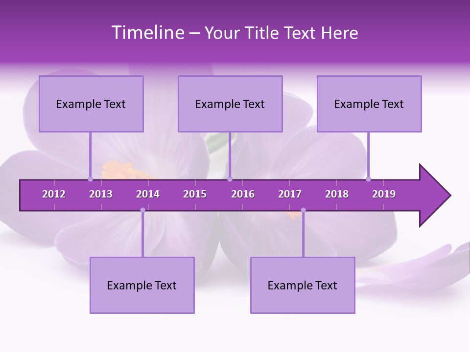 A Group Of Purple Flowers Sitting On Top Of A White Table PowerPoint Template