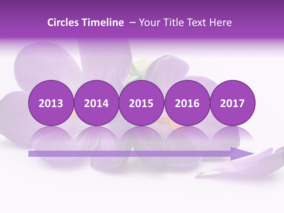 A Group Of Purple Flowers Sitting On Top Of A White Table PowerPoint Template