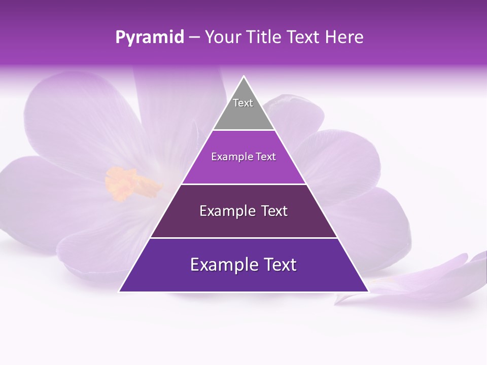 A Group Of Purple Flowers Sitting On Top Of A White Table PowerPoint Template