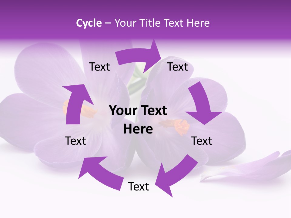A Group Of Purple Flowers Sitting On Top Of A White Table PowerPoint Template