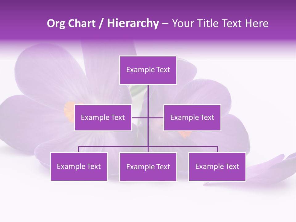 A Group Of Purple Flowers Sitting On Top Of A White Table PowerPoint Template