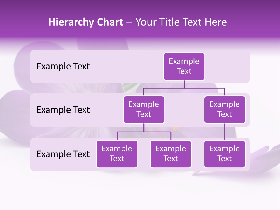 A Group Of Purple Flowers Sitting On Top Of A White Table PowerPoint Template