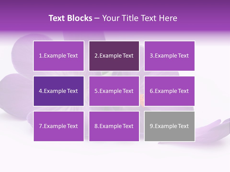 A Group Of Purple Flowers Sitting On Top Of A White Table PowerPoint Template