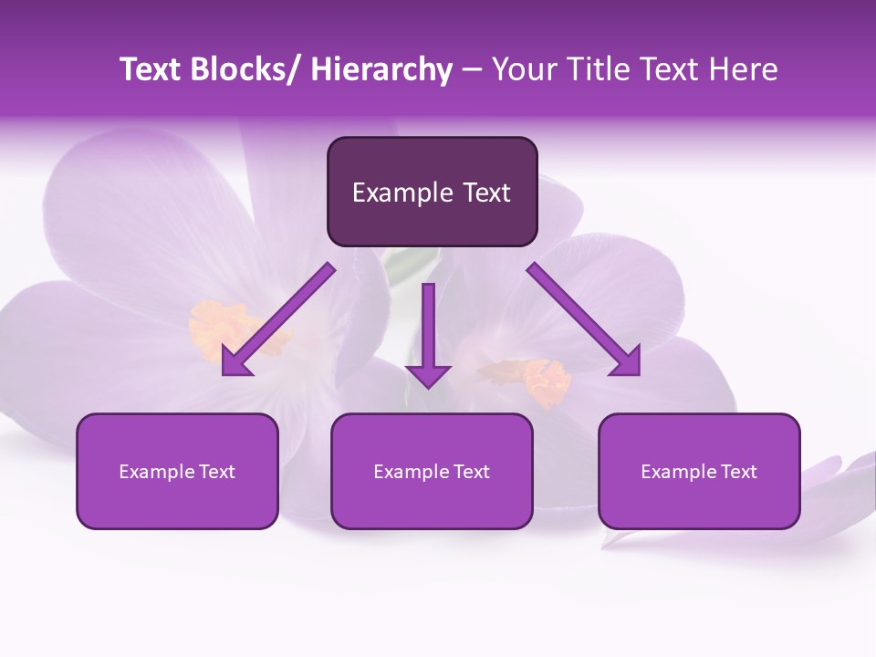 A Group Of Purple Flowers Sitting On Top Of A White Table PowerPoint Template