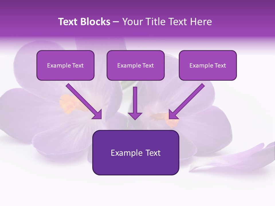 A Group Of Purple Flowers Sitting On Top Of A White Table PowerPoint Template