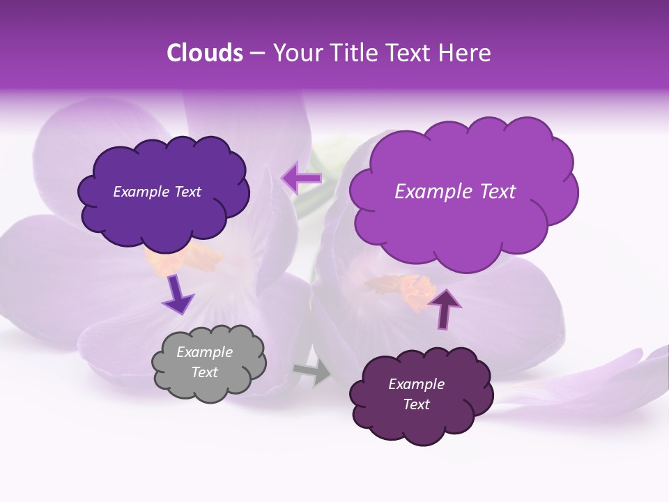 A Group Of Purple Flowers Sitting On Top Of A White Table PowerPoint Template