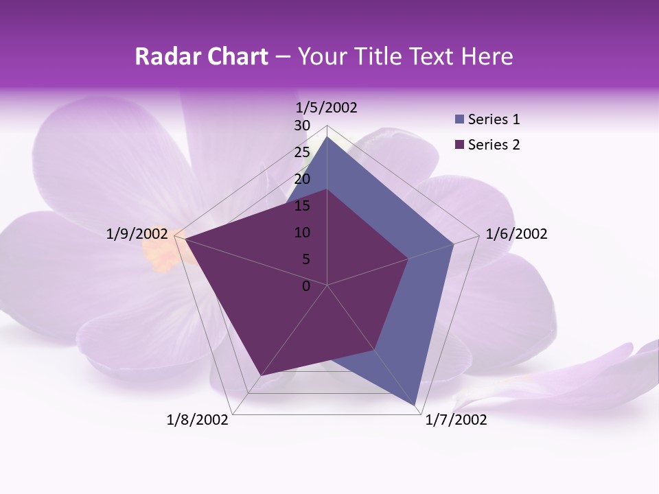 A Group Of Purple Flowers Sitting On Top Of A White Table PowerPoint Template