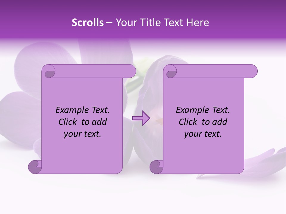 A Group Of Purple Flowers Sitting On Top Of A White Table PowerPoint Template