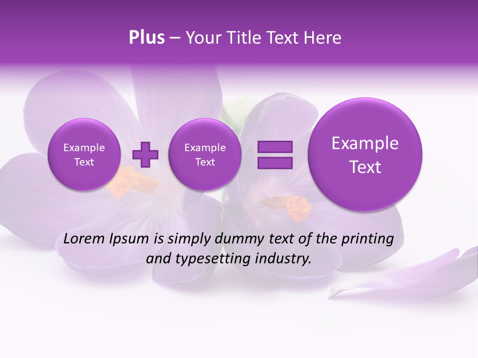 A Group Of Purple Flowers Sitting On Top Of A White Table PowerPoint Template